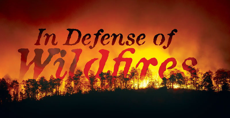 Faculty Voices: In Defense of Wildfires