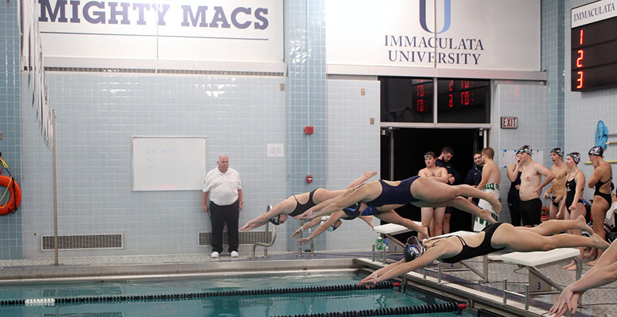Swimmers diving into the pool during a meet