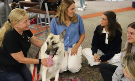 The Impact of Dual Enrollment